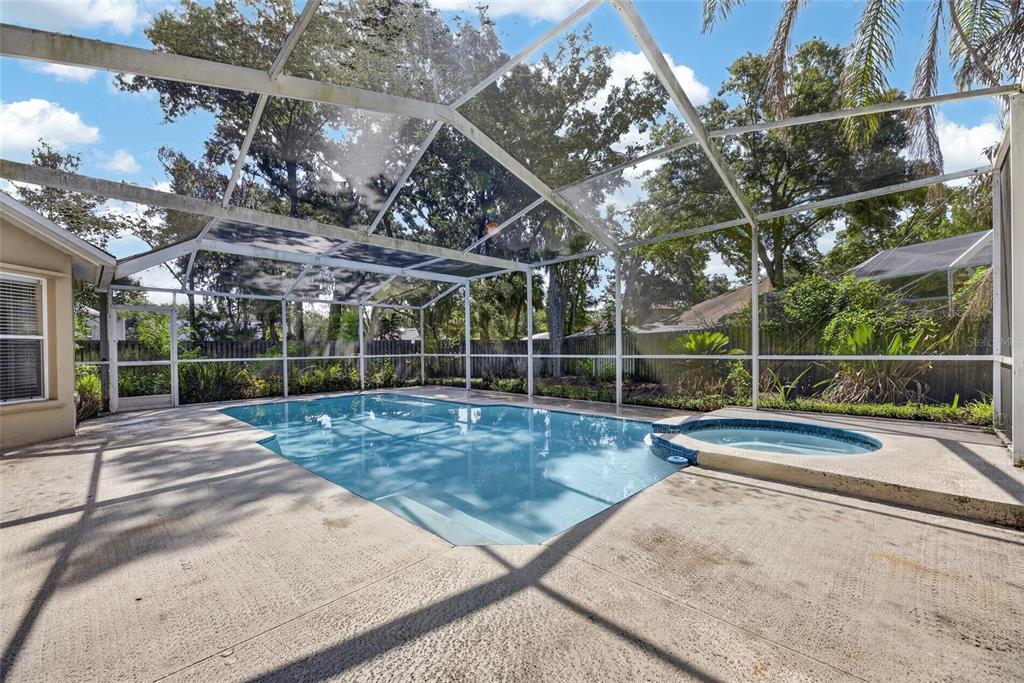 A screened-in swimming pool and spa with a concrete deck and surrounding privacy fence — 12519 RIVER BIRCH DRIVE, RIVERVIEW, FL