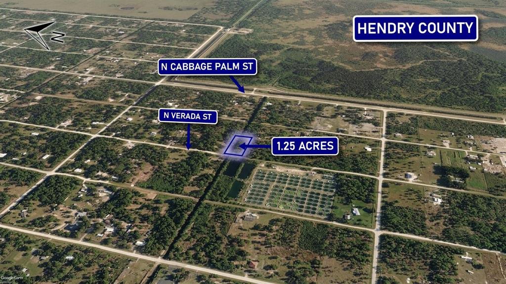 An aerial map view shows a highlighted 1.25-acre plot of land near rural roads — 375 N VERDA STREET, CLEWISTON, FL