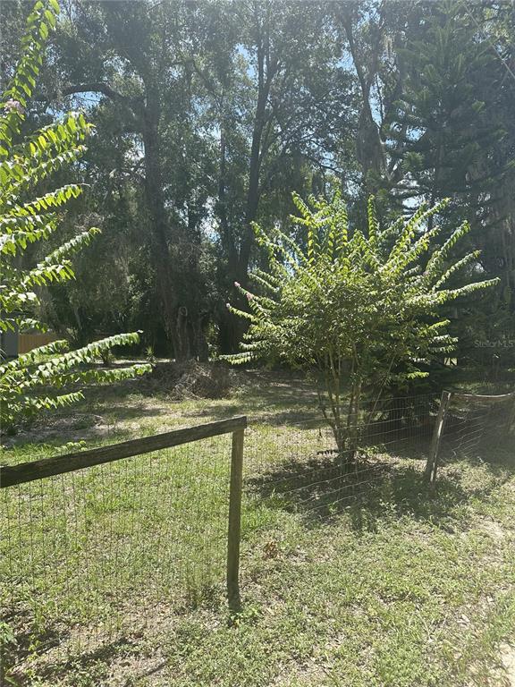 A grassy backyard features a wire fence, a small flowering tree, and large mature trees — FERN DRIVE, LEESBURG, FL