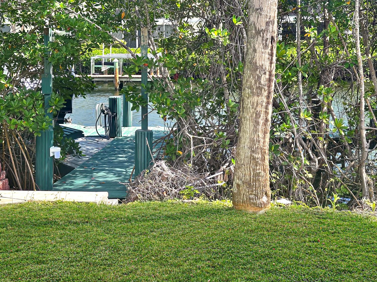 A wooden dock extends from a grassy lawn toward a canal surrounded by mangrove trees — 1860 Cobia Drive, Vero Beach FL 32960, VERO BEACH, FL