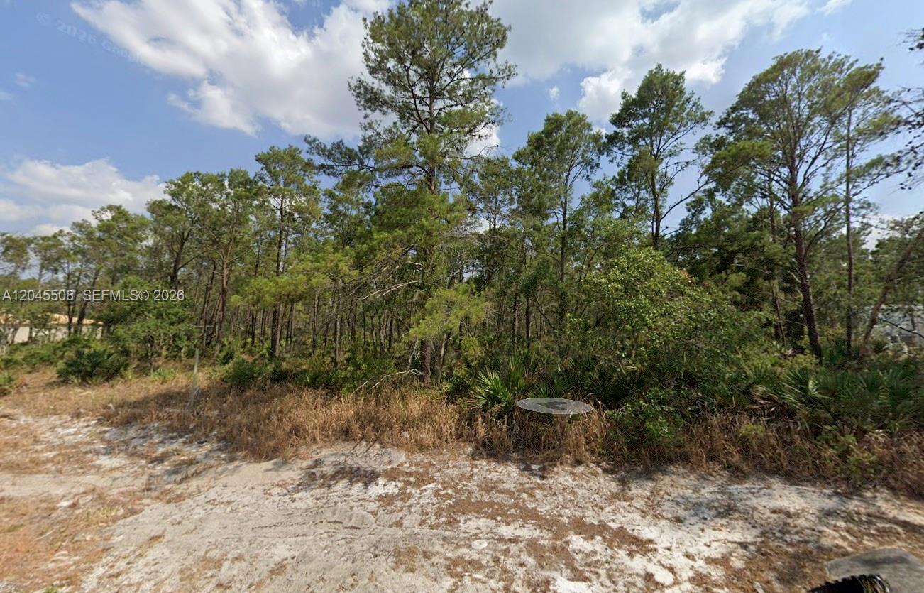 A wooded lot with sandy ground and tall pine trees under a blue sky — 7711 Yumuri St, Sebring FL 33872, SEBRING, FL