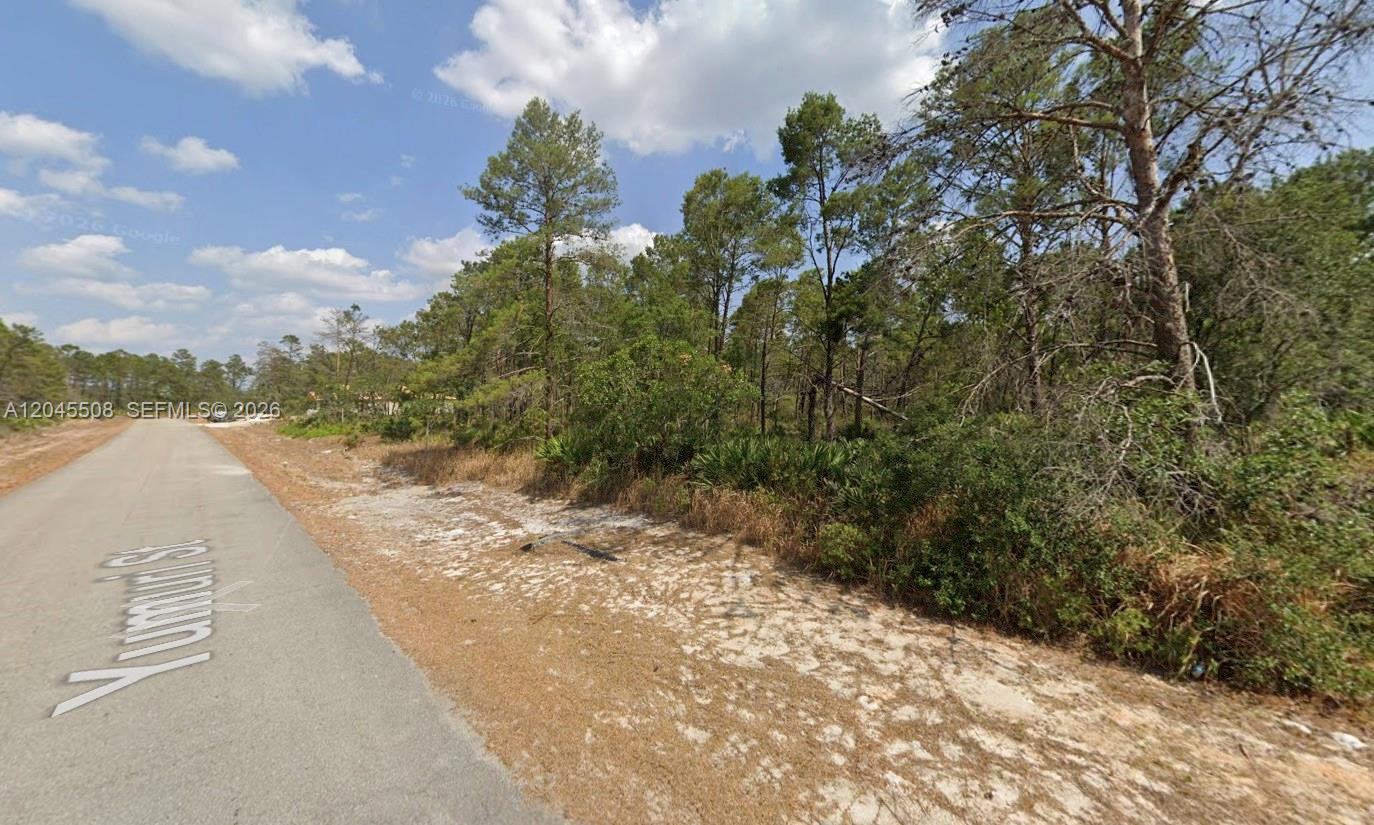 A paved road runs alongside a wooded, undeveloped lot with sandy soil and pine trees — 7711 Yumuri St, Sebring FL 33872, SEBRING, FL