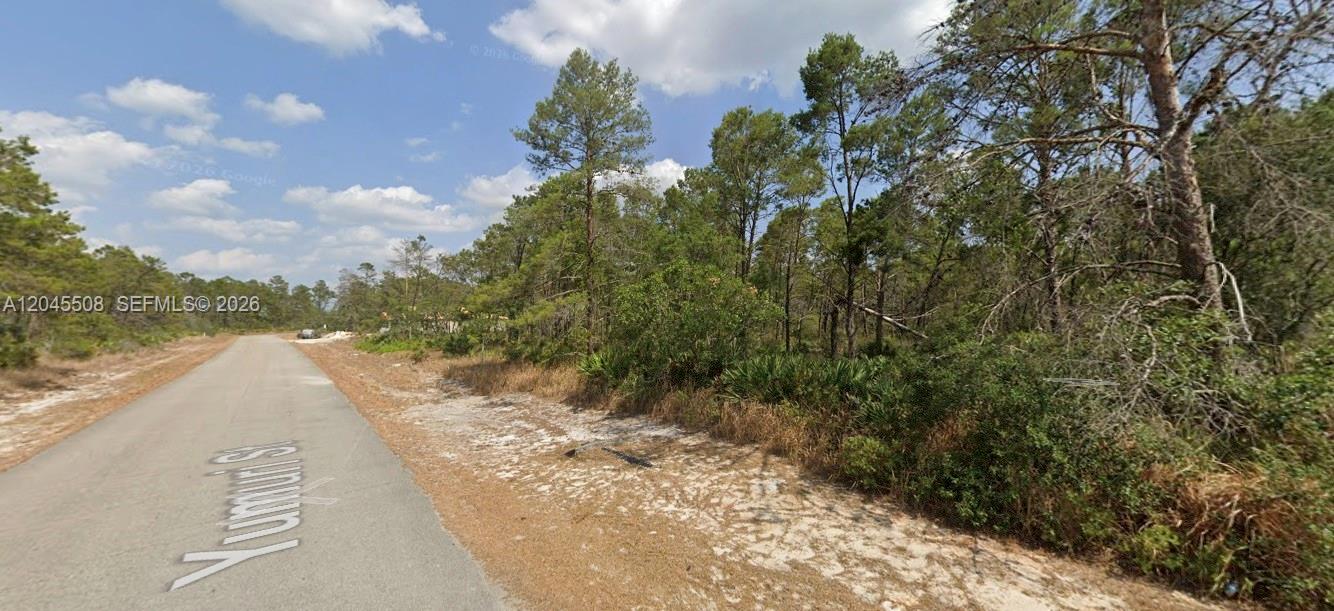 A paved road runs alongside a vacant, wooded lot under a partly cloudy sky — 7711 Yumuri St, Sebring FL 33872, SEBRING, FL