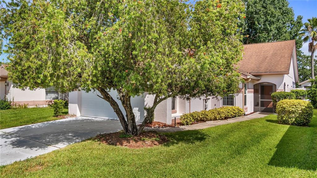 11206 PAPYRUS LANE