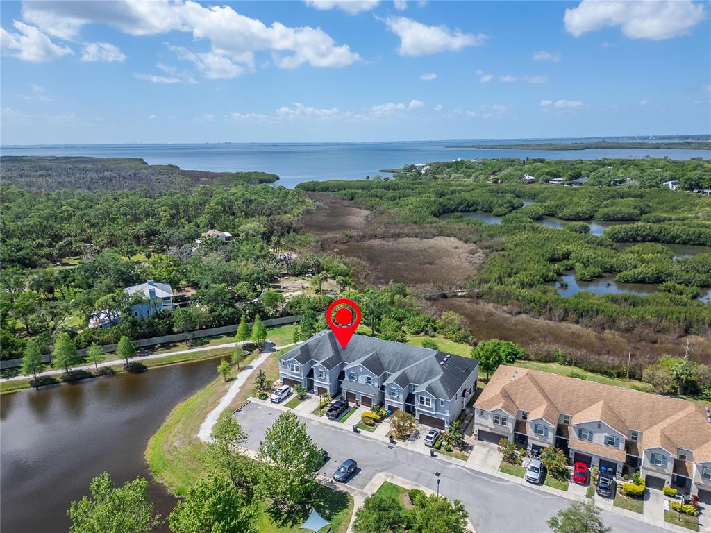 An aerial view shows a multi-unit townhouse complex situated near a pond and coastal wetlands — 8108 MUDDY PINES PLACE UNIT 8108, TAMPA, FL