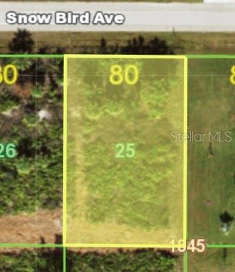 This is a satellite map view of a rectangular vacant lot bordering a road — 12121 SNOW BIRD AVENUE, PORT CHARLOTTE, FL