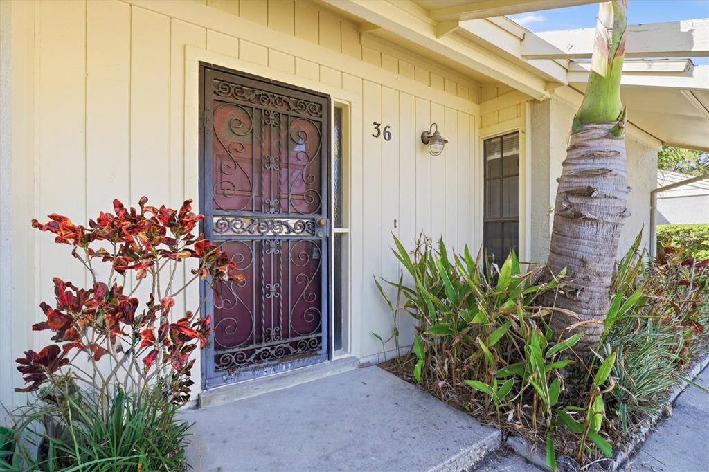 A front entrance features a decorative metal security door, light-colored siding, and a palm tree — 36 WINDRUSH BAY DRIVE UNIT 36, TARPON SPRINGS, FL