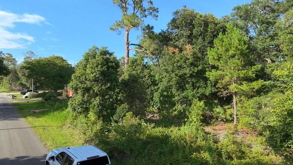 A white pickup truck is parked on a paved road beside a wooded vacant lot — 2057 8TH AVENUE, DELAND, FL