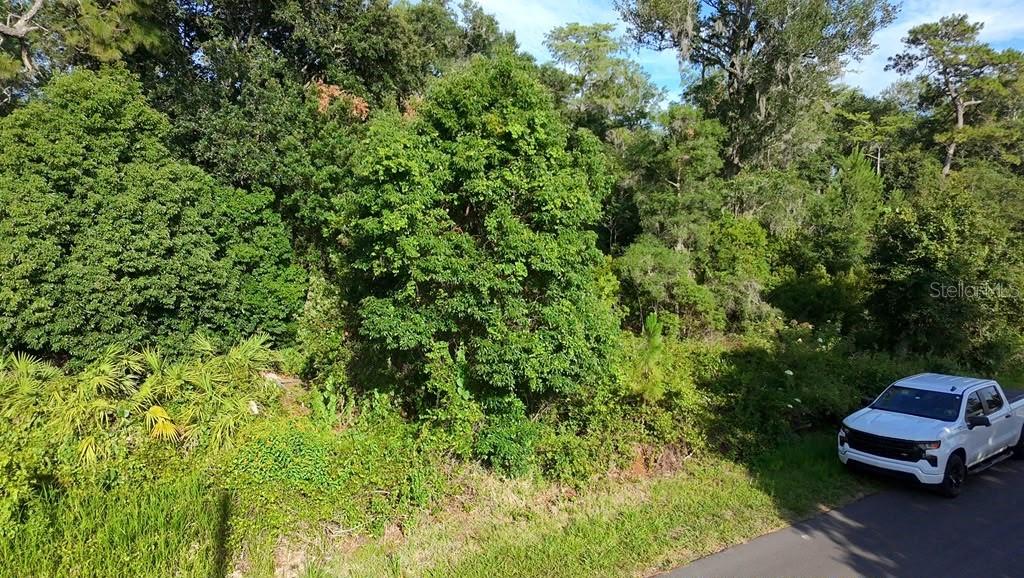A white pickup truck is parked on a paved road next to a wooded lot — 2057 8TH AVENUE, DELAND, FL