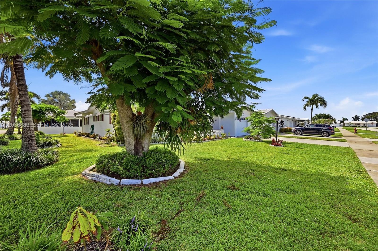 A large tree with a landscaped base stands in the front yard of a house — 1702 SW 22nd St, Boynton Beach FL 33426, BOYNTON BEACH, FL