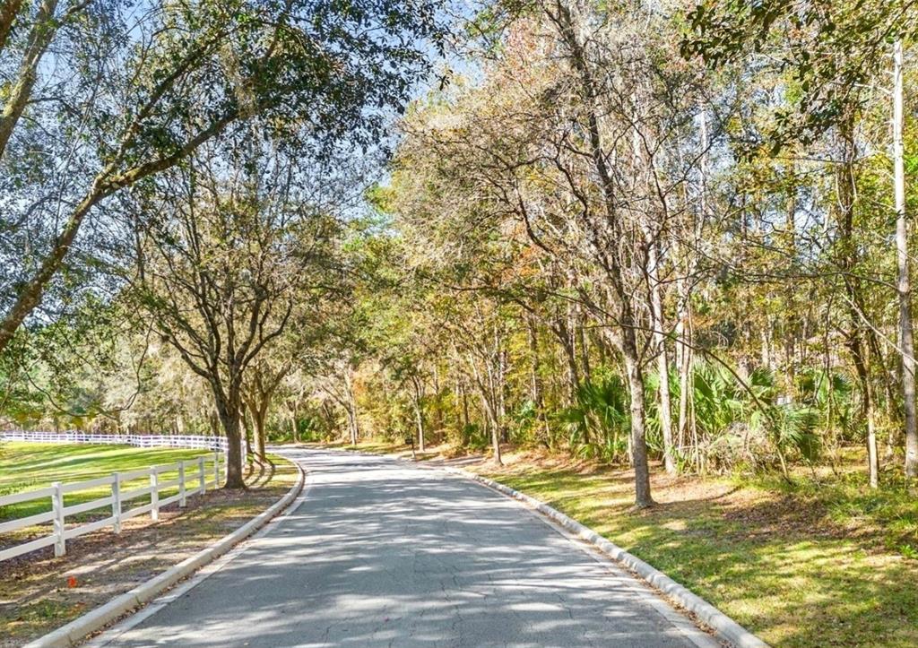 TBD SW 37TH PLACE ROAD, OCALA, FL — photo 2 of 11