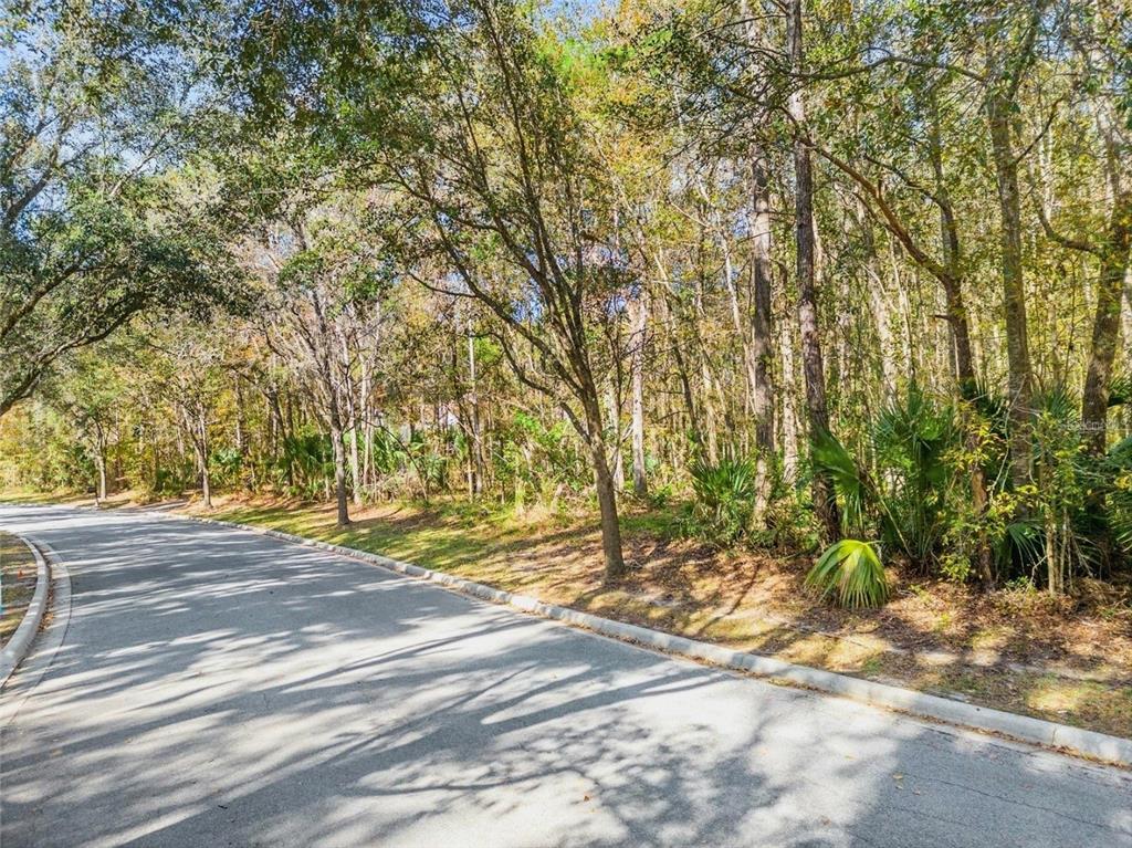 TBD SW 37TH PLACE ROAD, OCALA, FL — photo 3 of 11