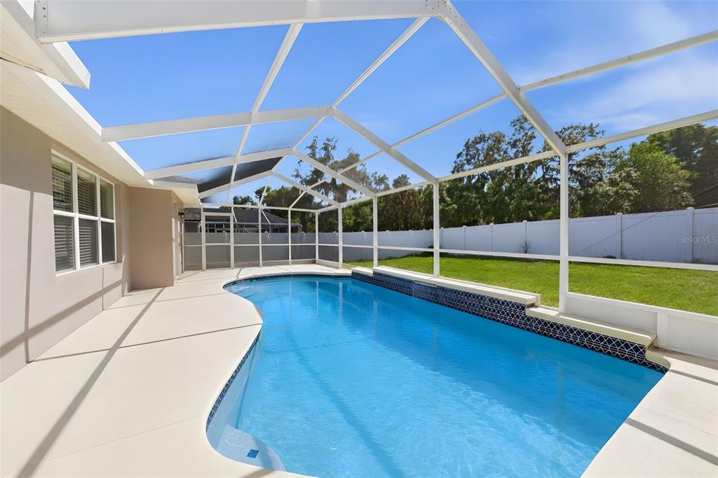 A swimming pool with a tiled water feature sits inside a screened-in patio enclosure — 3511 GRAY WHETSTONE STREET, BRANDON, FL