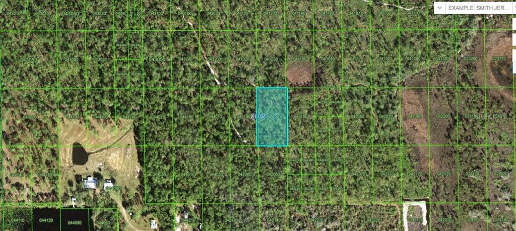 This is an aerial map view showing a highlighted rectangular plot of land — HWY 60 E, LAKE WALES, FL