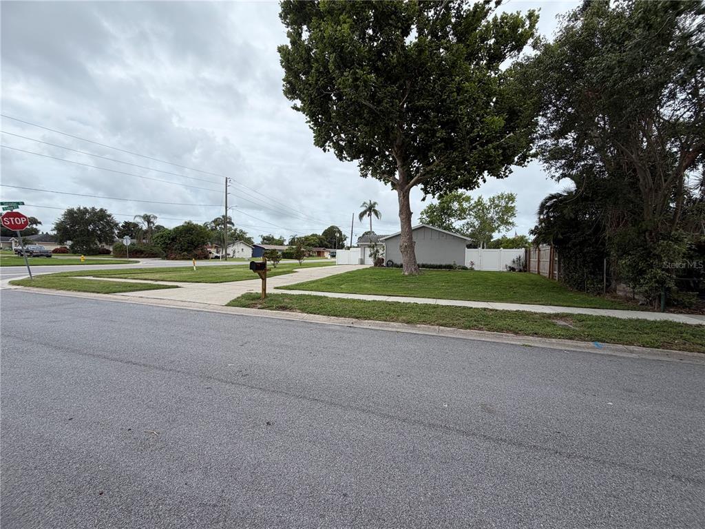 A view of a corner lot featuring a house, a large tree, and a sidewalk — 820 SAN SALVADOR DRIVE, DUNEDIN, FL