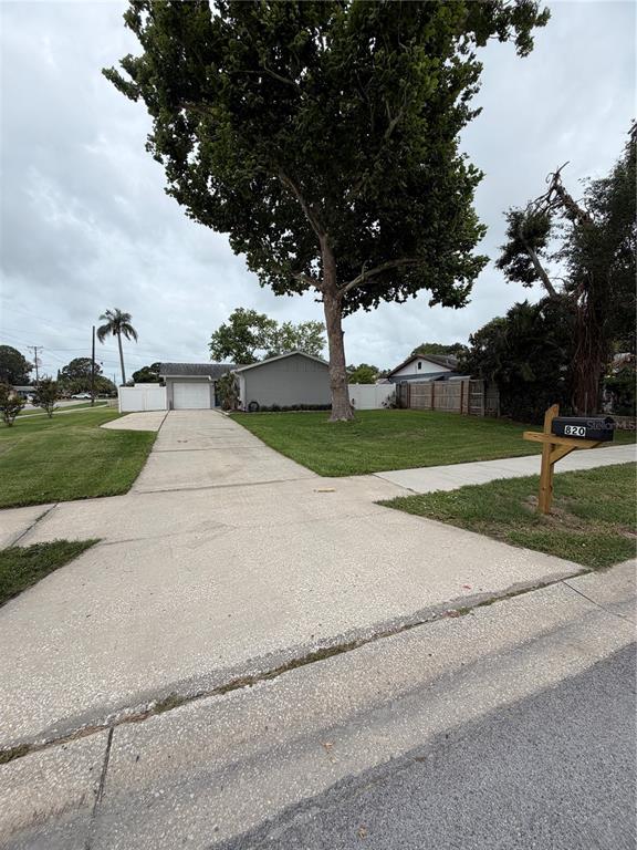 A concrete driveway leads to a single-story house with a large tree in the yard — 820 SAN SALVADOR DRIVE, DUNEDIN, FL