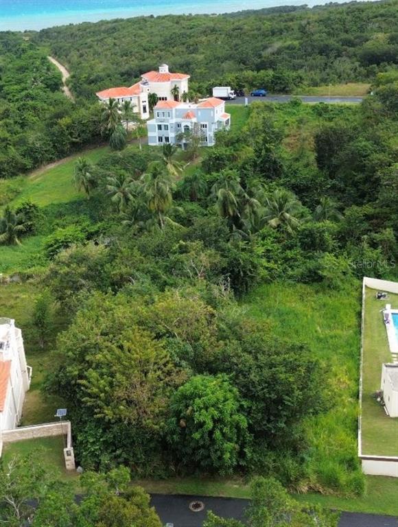 An aerial view shows a vacant, tree-covered lot situated between two residential properties near the coast — 39 COCOLOBA UNIT 39, HUMACAO, PR