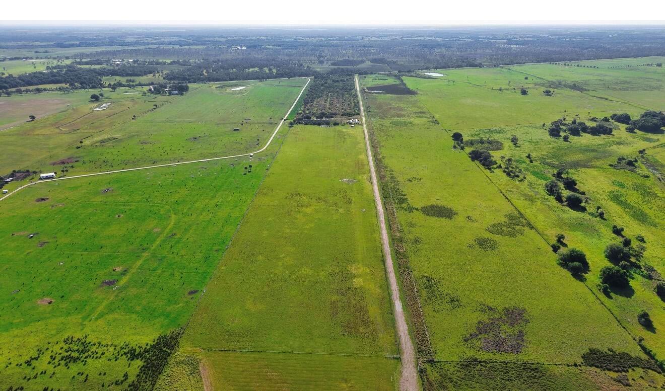 An aerial view shows a large, flat, green pasture divided by a long dirt road — Tbd Kenansville Road, FL 34739, FL