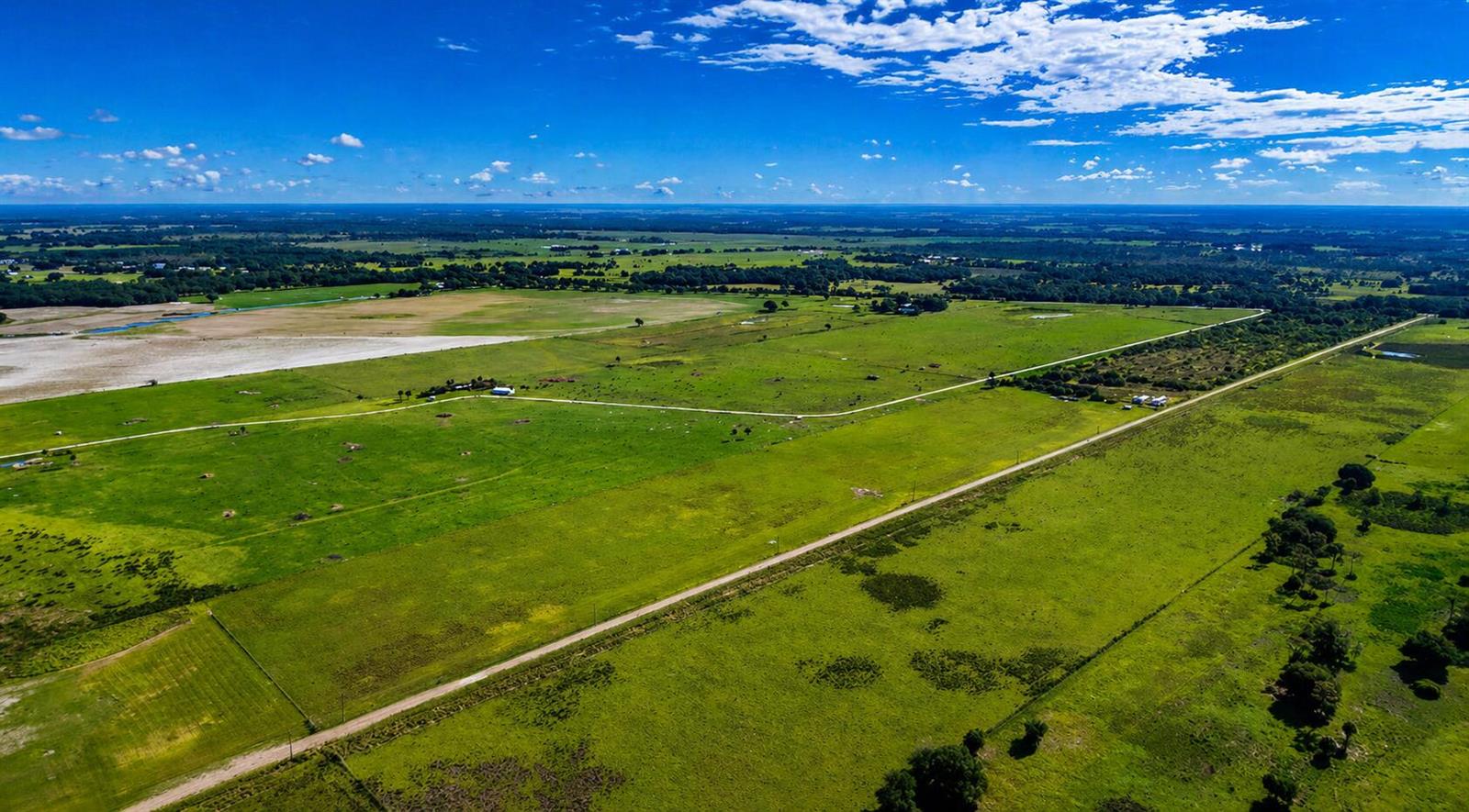 An aerial view shows a vast, flat green pasture with a dirt road and scattered trees — Tbd Kenansville Road, FL 34739, FL