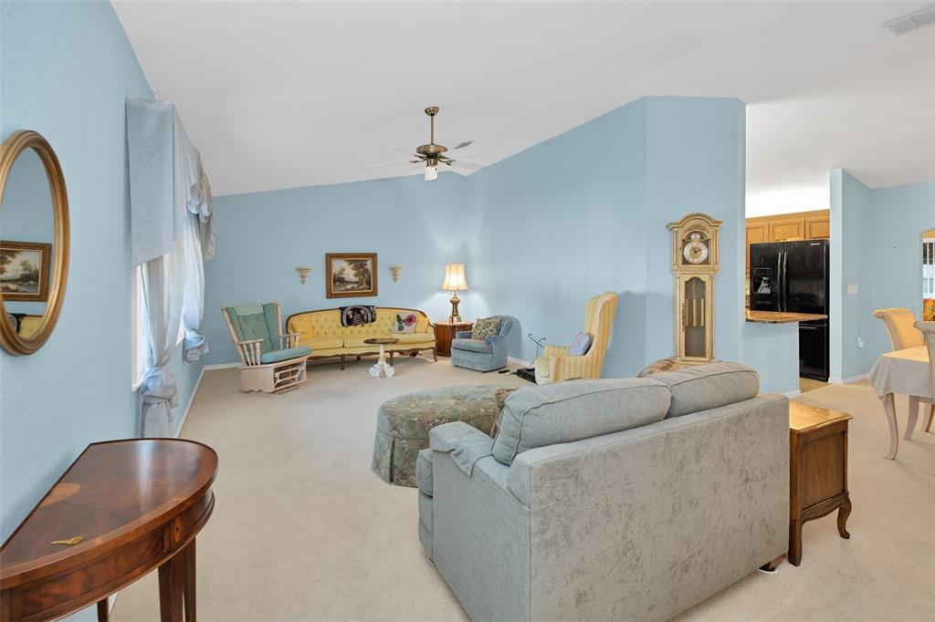 A living room with light blue walls, beige carpeting, and a variety of traditional furniture — 9921 SE 138TH LOOP, SUMMERFIELD, FL