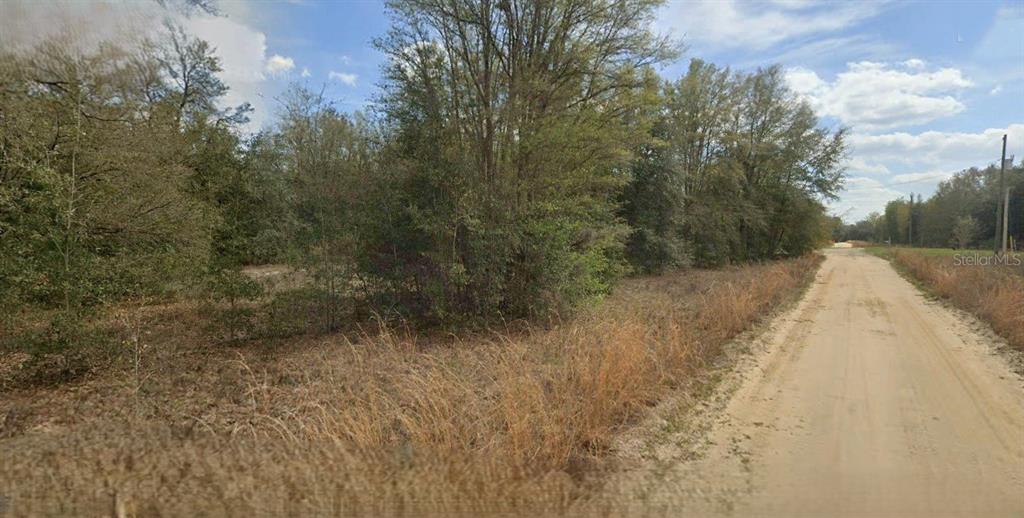 GUY AVENUE, INTERLACHEN, FL — photo 2 of 4