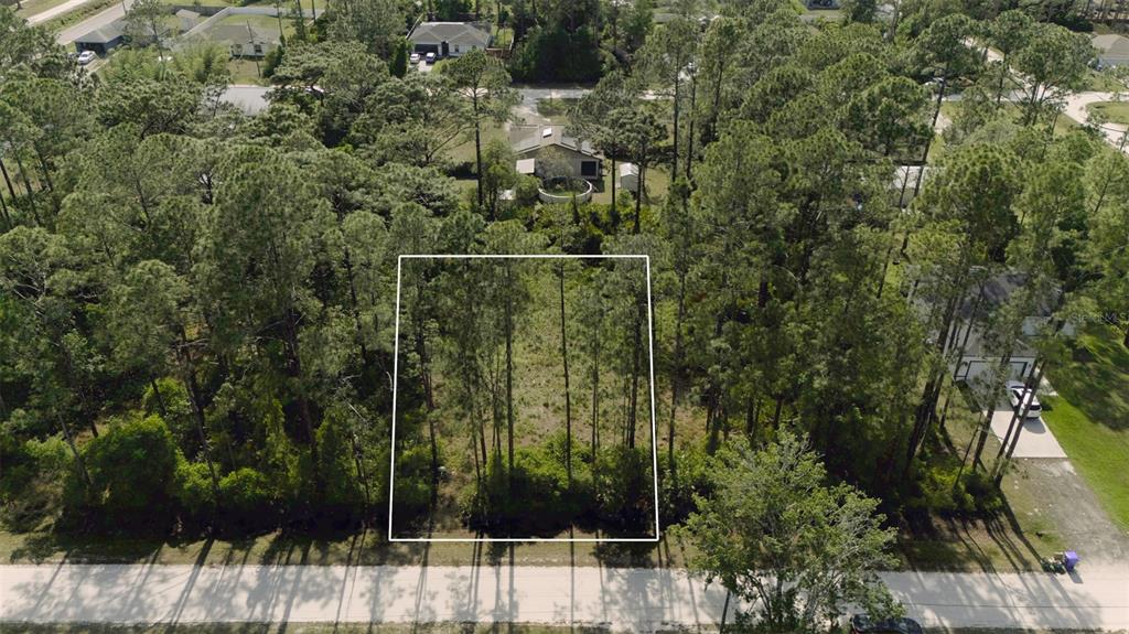 An aerial view shows a rectangular, wooded vacant lot outlined in white along a road — 2124 EAST PARKWAY, DELAND, FL
