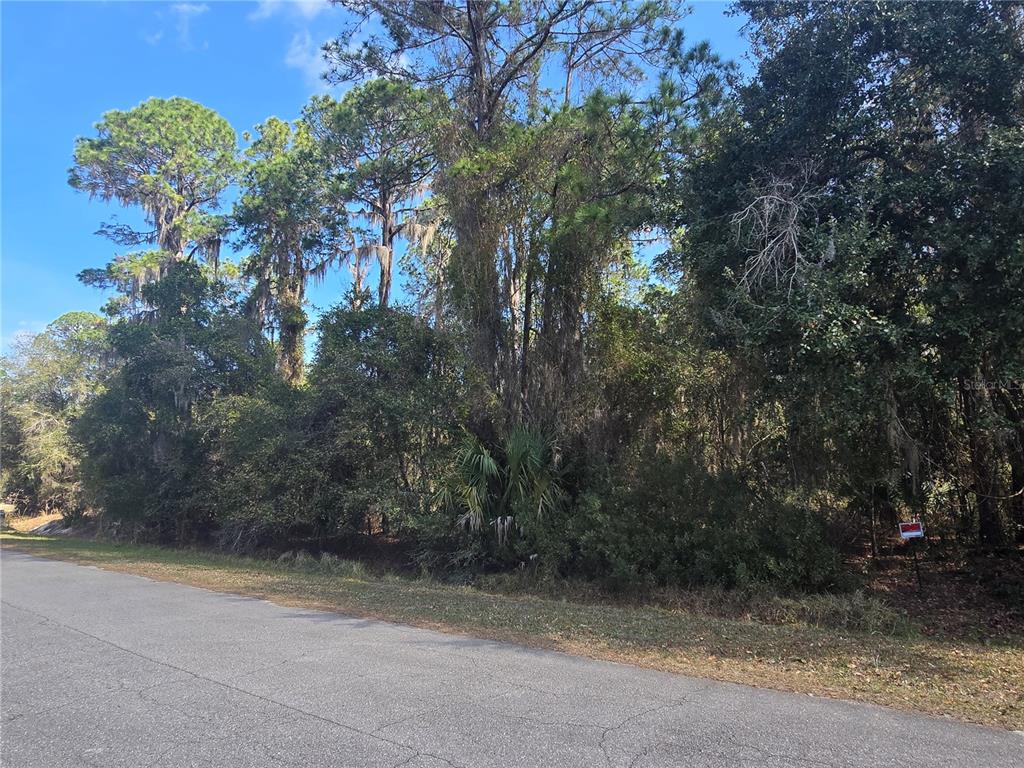 A paved road runs along the front of a densely wooded, undeveloped residential lot — 13837 SE 201ST TERRACE, HAWTHORNE, FL