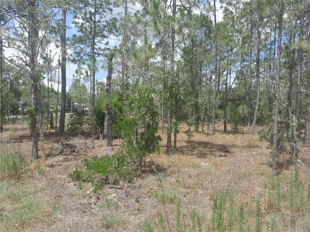 TBD NE 149TH COURT, WILLISTON, FL — photo 3 of 4