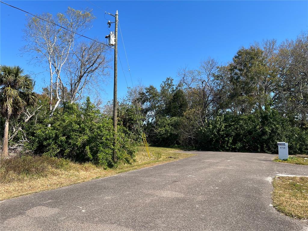 A paved road leads toward a wooded, undeveloped lot with a utility pole — 4715 SALVIA STREET, NEW PORT RICHEY, FL
