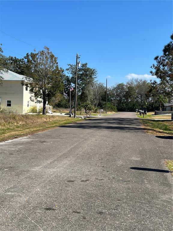 A paved residential street leads toward trees and a house under a clear blue sky — 4715 SALVIA STREET, NEW PORT RICHEY, FL