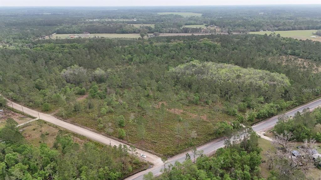 An aerial view shows a wooded, undeveloped corner lot bordered by two paved roads — SE COUNTY ROAD 25A, WHITE SPRINGS, FL