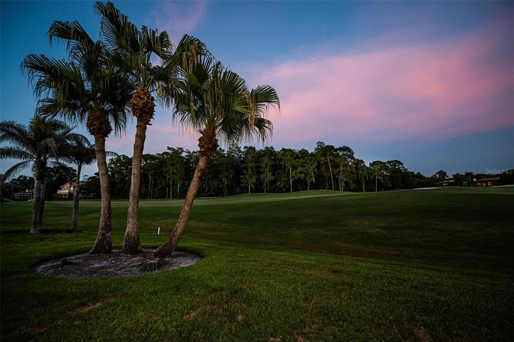 A screened-in swimming pool and spa overlook a golf course and a small pond — 4995 CAMBERLEY LANE, OLDSMAR, FL