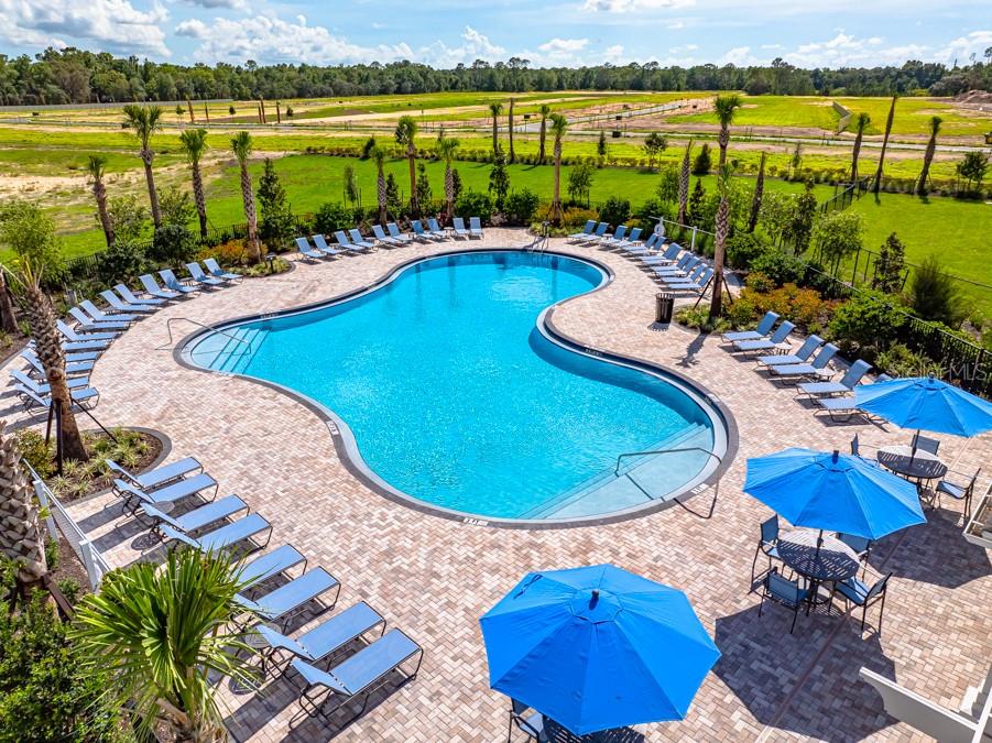 An aerial view of a kidney-shaped swimming pool surrounded by lounge chairs and blue umbrellas — 13626 TROPICAL BREEZE WAY, HUDSON, FL