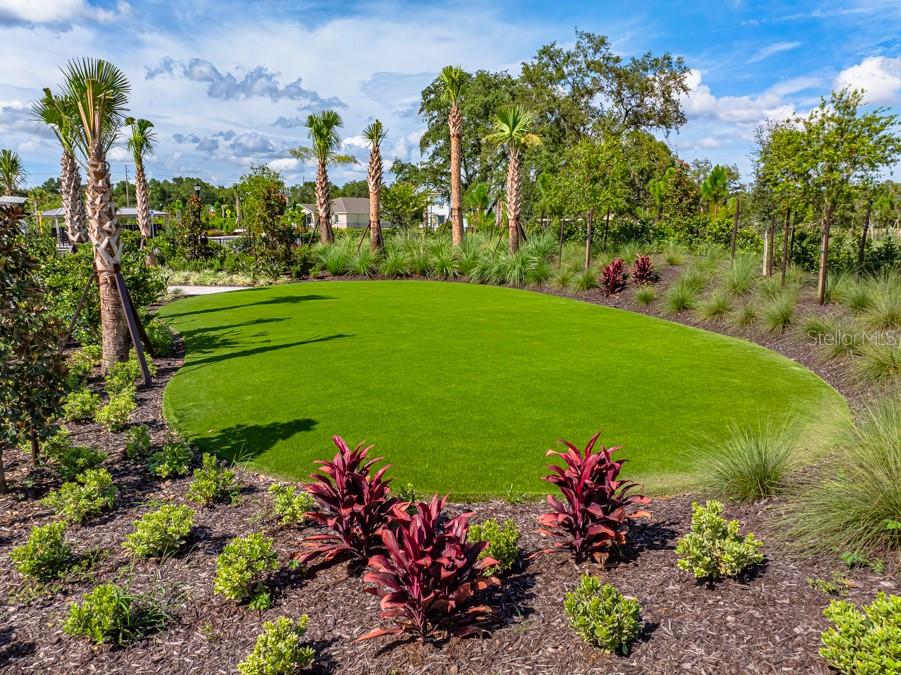 A landscaped lawn features palm trees and red-leafed shrubs in a residential outdoor space — 13626 TROPICAL BREEZE WAY, HUDSON, FL