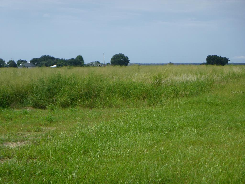 A wide, grassy field under a clear sky with distant trees and houses — 2975 PIT ROAD, BARTOW, FL