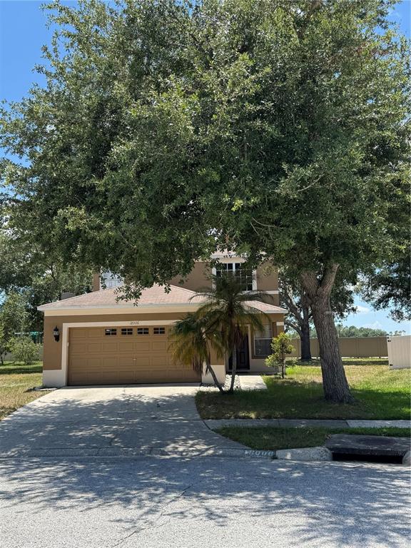 A two-story house with a tan exterior, a two-car garage, and a large shade tree — 18006 BIRDWATER DRIVE, TAMPA, FL
