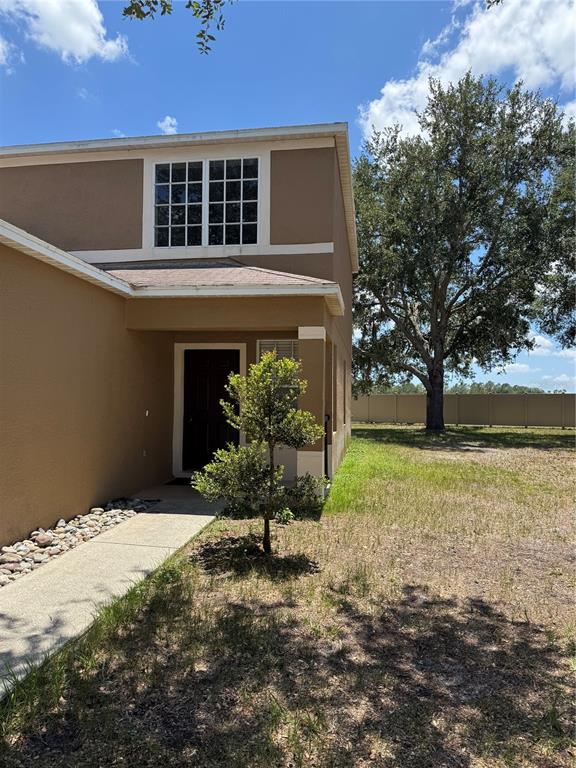 A two-story tan house features a front entrance, a small tree, and a side yard — 18006 BIRDWATER DRIVE, TAMPA, FL