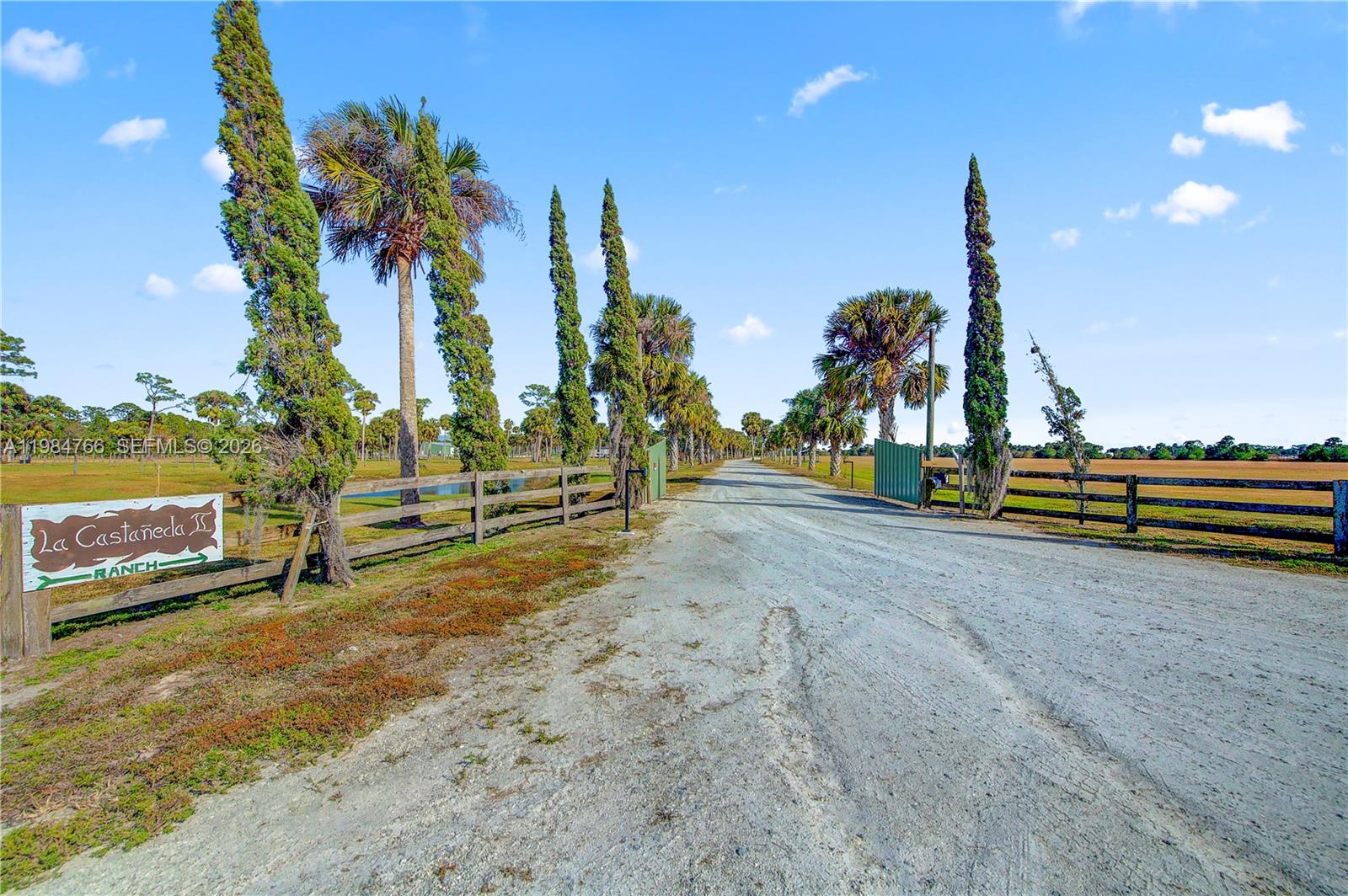 A dirt driveway leads through a gated entrance lined with palm trees and wooden fencing — 30003 SW Martin Hwy, Okeechobee FL 34974, OKEECHOBEE, FL