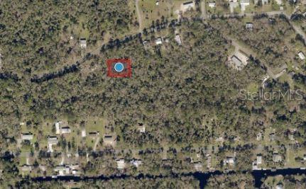 RIVER ROAD, ASTOR, FL — photo 2 of 4