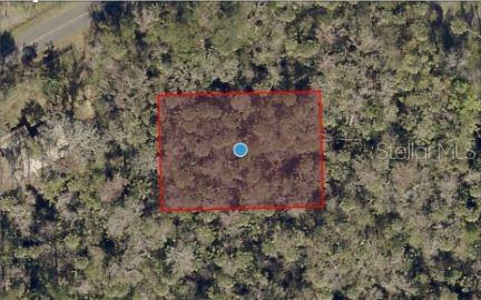 RIVER ROAD, ASTOR, FL — photo 3 of 4