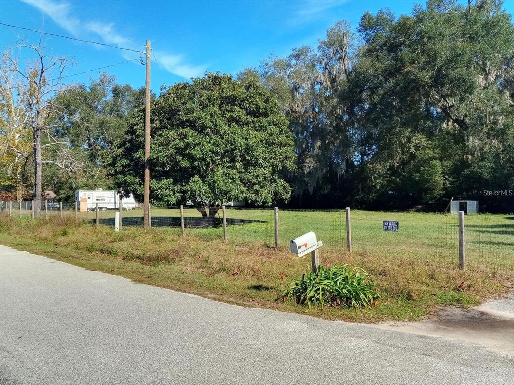 A grassy, fenced-in vacant lot features a large tree, a mailbox, and a small shed — 9895 NE 30TH COURT, ANTHONY, FL
