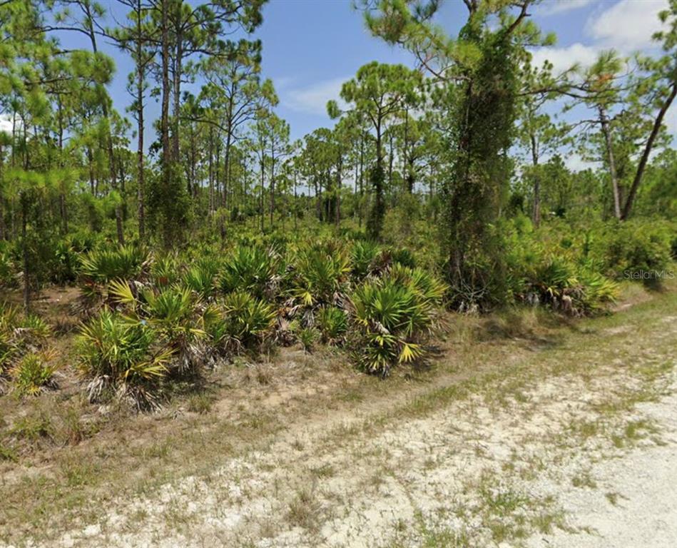 A dirt road runs alongside a wooded lot filled with pine trees and saw palmettos — 12297 and 12303 HINDLE AVENUE, PUNTA GORDA, FL