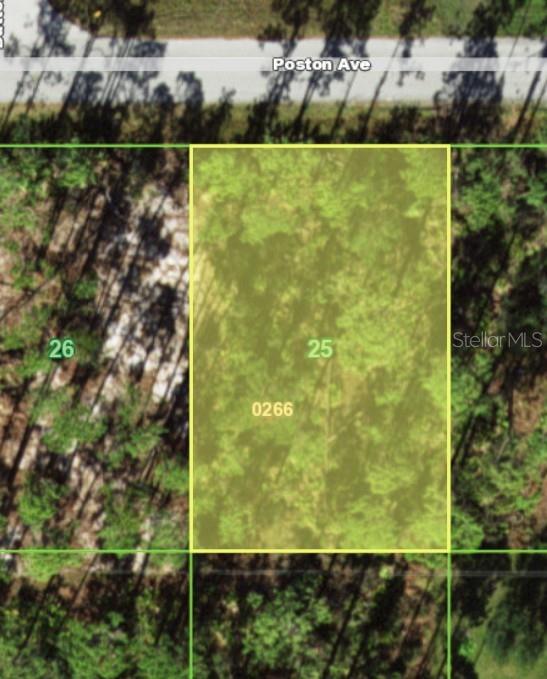 This aerial map shows a rectangular, wooded plot of land bordering a paved road — 18289 POSTON AVENUE, PORT CHARLOTTE, FL