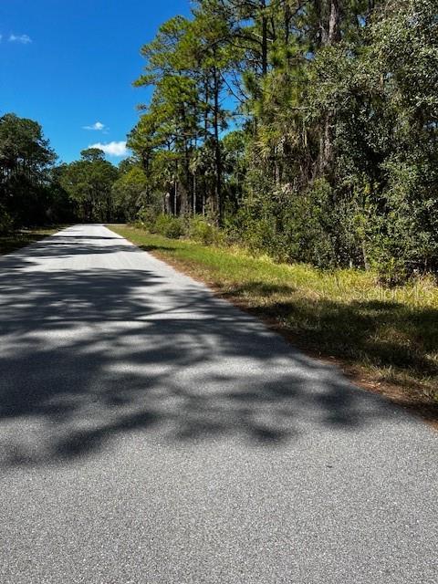 A paved road stretches into the distance, flanked by dense trees and grassy shoulders — 12564 E WELON AVENUE, PORT CHARLOTTE, FL
