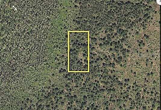 An aerial view shows a rectangular plot of land outlined in yellow amidst wooded terrain — INTERNATIONAL DRIVE S, ORLANDO, FL