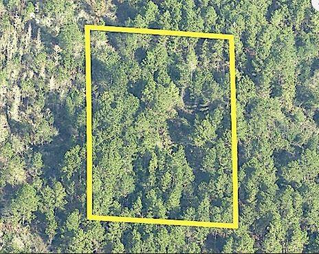 An aerial view of a rectangular plot of land covered in dense forest — INTERNATIONAL DRIVE S, ORLANDO, FL