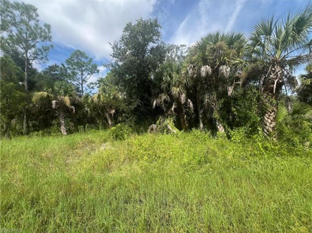 A grassy, undeveloped lot features a dense cluster of palm trees and other native vegetation — 441 ADMIRAL STREET, PORT CHARLOTTE, FL