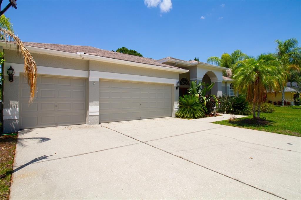 A single-story house with a two-car garage, a concrete driveway, and palm trees — 2456 APPALOOSA TRAIL, PALM HARBOR, FL