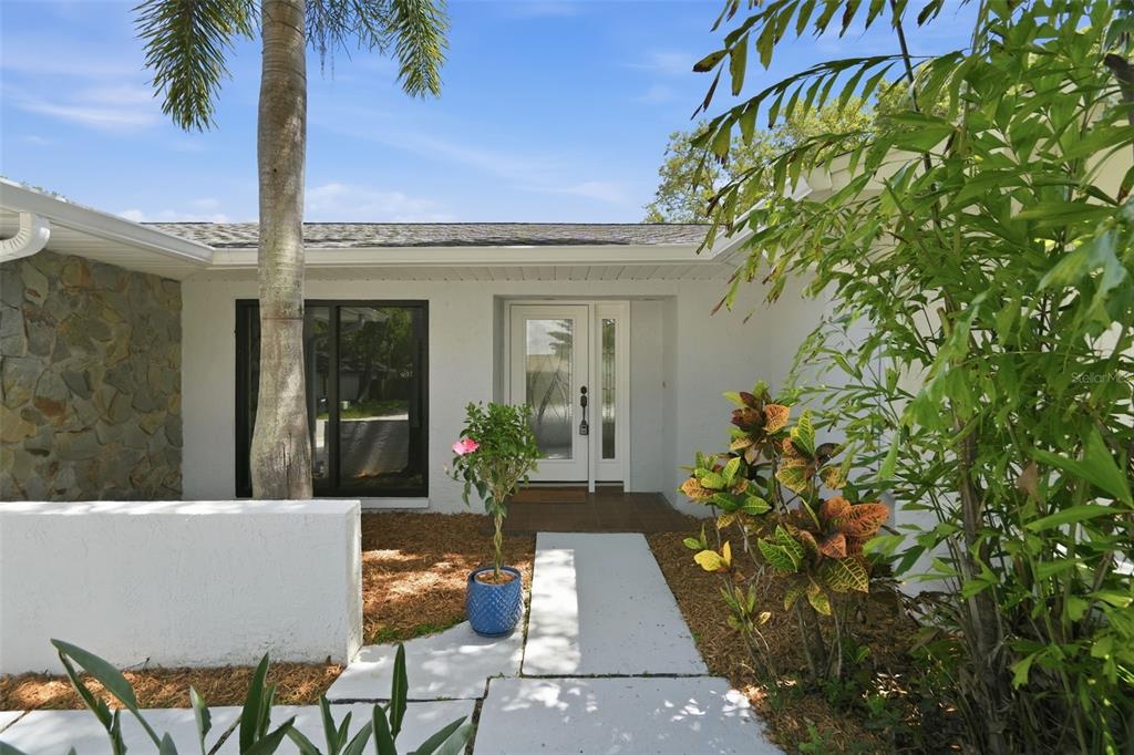 A white house exterior features a stone accent wall, a palm tree, and a front entrance — 104 NESTLEBRANCH DRIVE, SAFETY HARBOR, FL