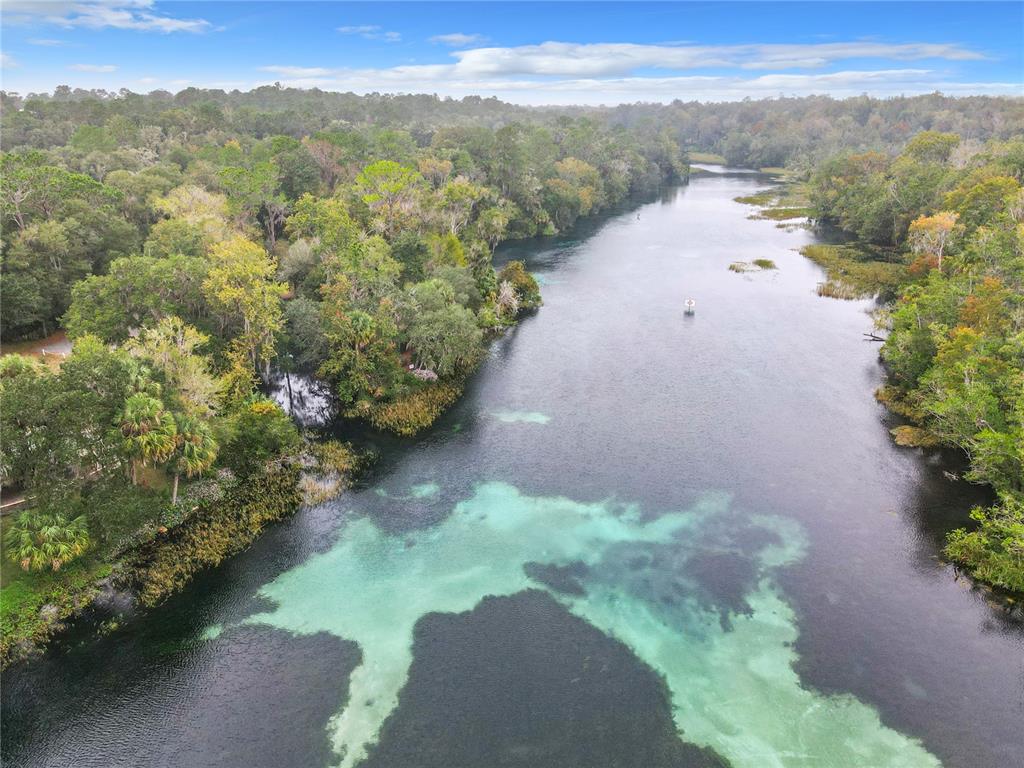 An aerial view of a clear, spring-fed river flowing through a dense, green forest — 19331 SW 100TH LOOP, DUNNELLON, FL